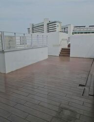 St Patrick's Residences (D15), Apartment #556392711